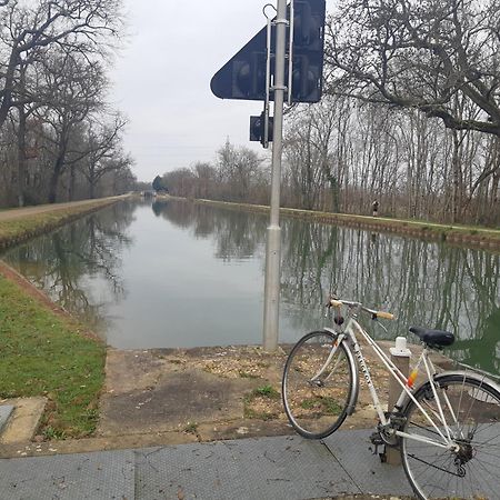 Maison De Famille Avec Parc Arbore Montauban Bagian luar foto