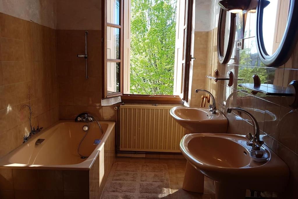 Maison De Famille Avec Parc Arbore Montauban Bagian luar foto