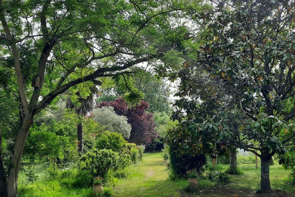 Maison De Famille Avec Parc Arbore Montauban Bagian luar foto
